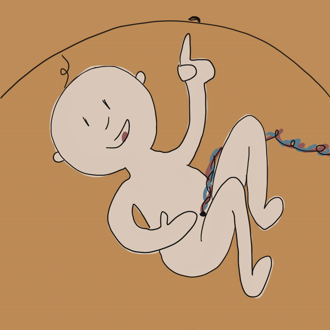 En tegning af en baby der ligger og prikker til sin moders maveskind.